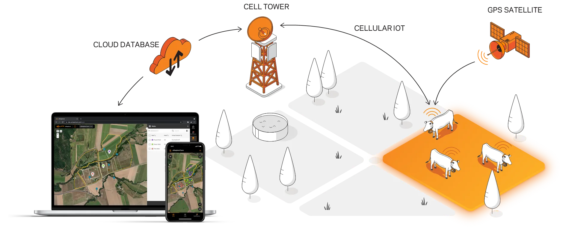 Cellular