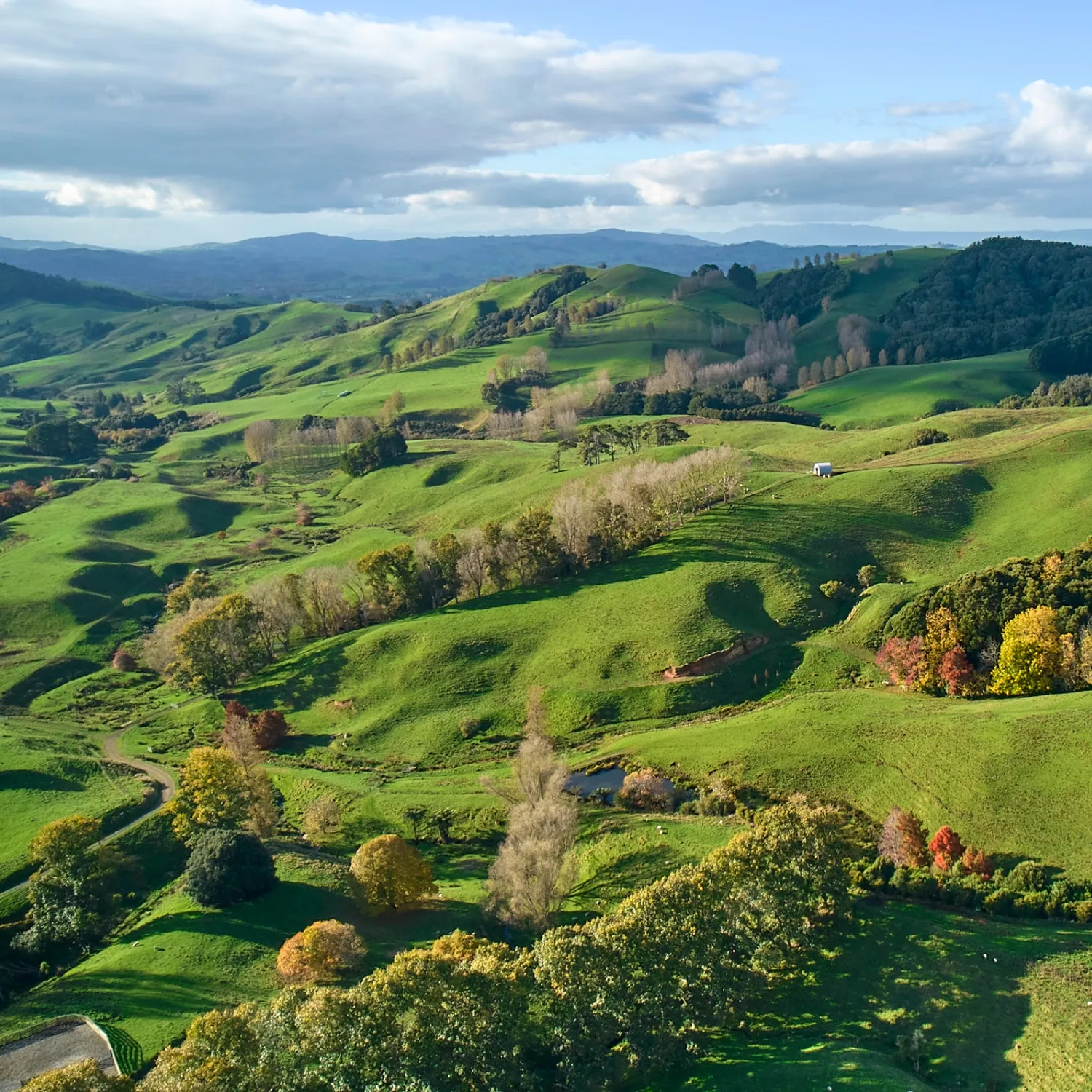 Autumn hills · extensive country